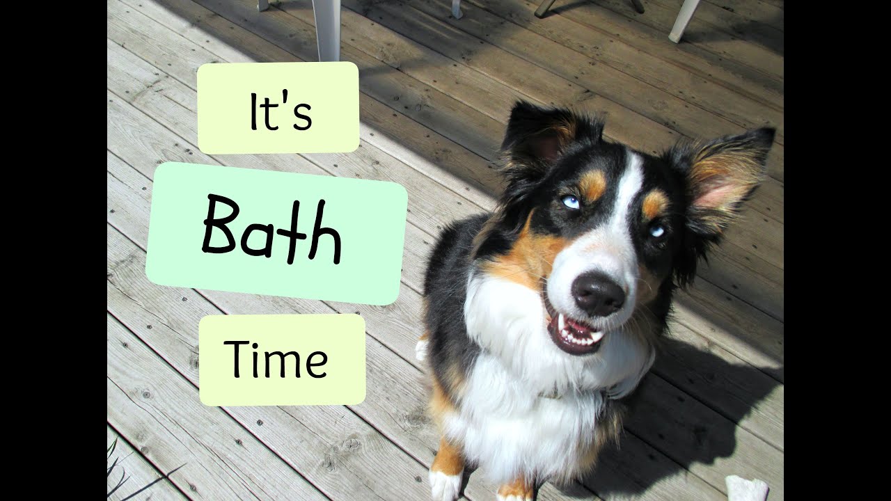 Grooming Time - Day In The Life | Episode 2