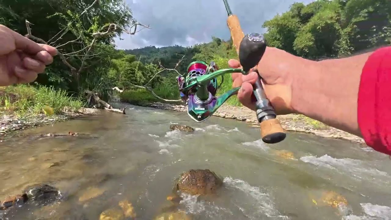 DOS HORAS DE PESCA DE SABALETAS.
