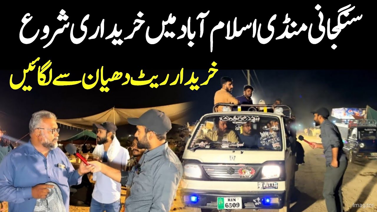 Sangjani Mandi 2025 Islamabad - Live Sale start Qurbani 2025 - Cow Mandi Islamabad 2025 - T4 Tamasha