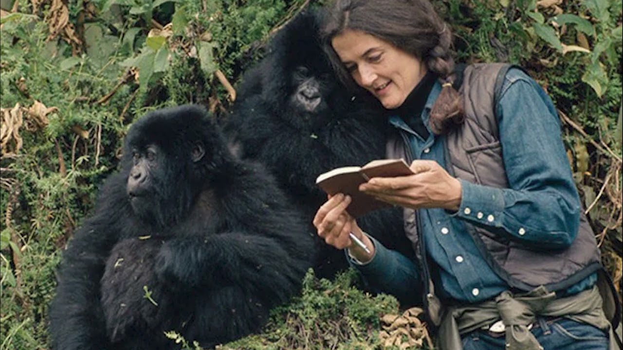Nyiramacibiri – Amabanga y’Urupfu rudasabanutse rwa Dian Fossey witangiye Ingagi mu Birunga