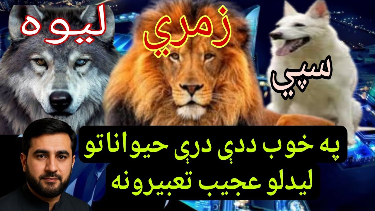 په خوب کي ددي دري حيواناتو ليدلو پوره تفصيل حيرانوونکې تعبيرونه