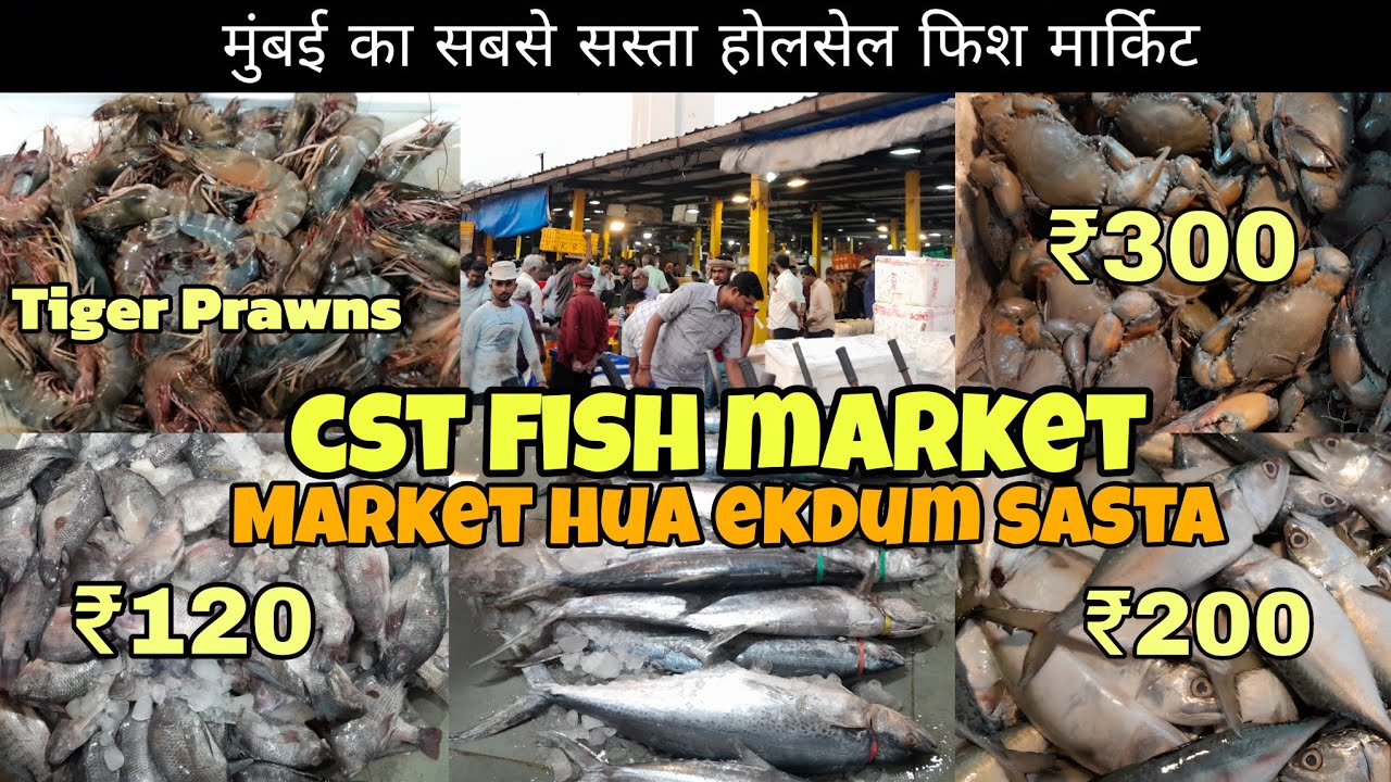 CST Fish Market Mumbai | Wholesale Fish Market | Fish Prices Today | Full Market Tour 