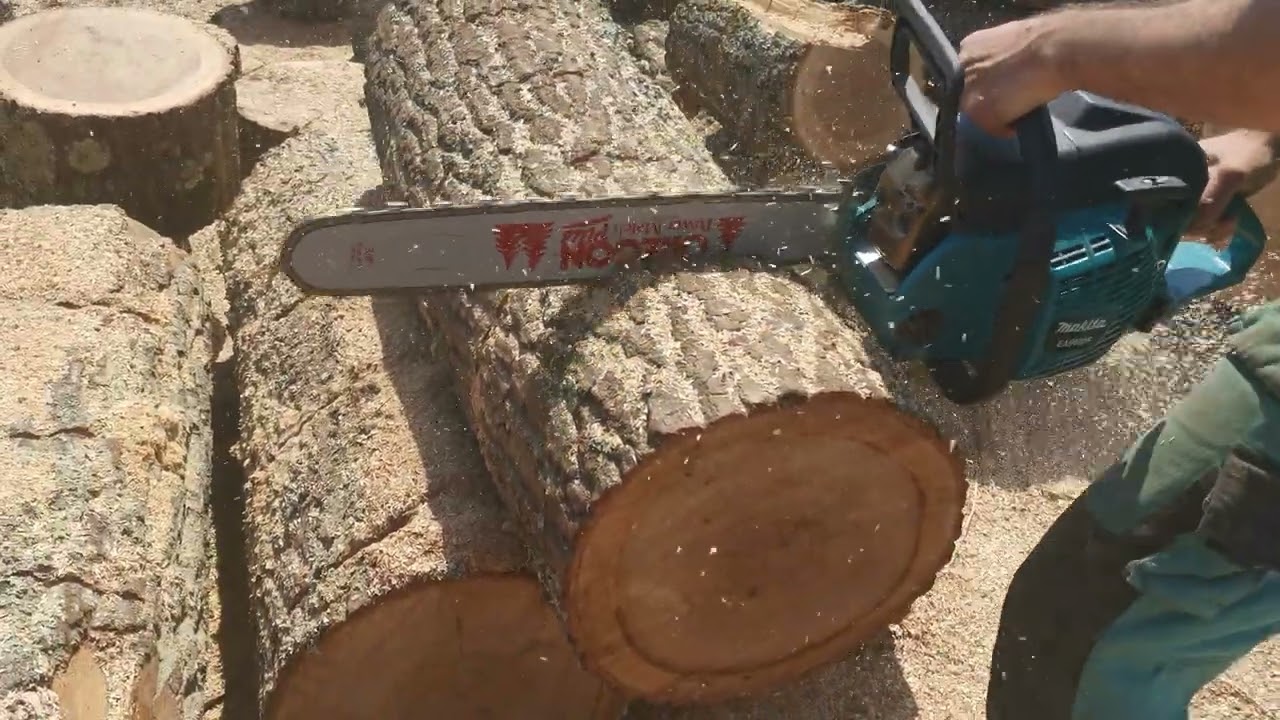 DRUJBA MAKITA 5600 la tăiat de lemne.