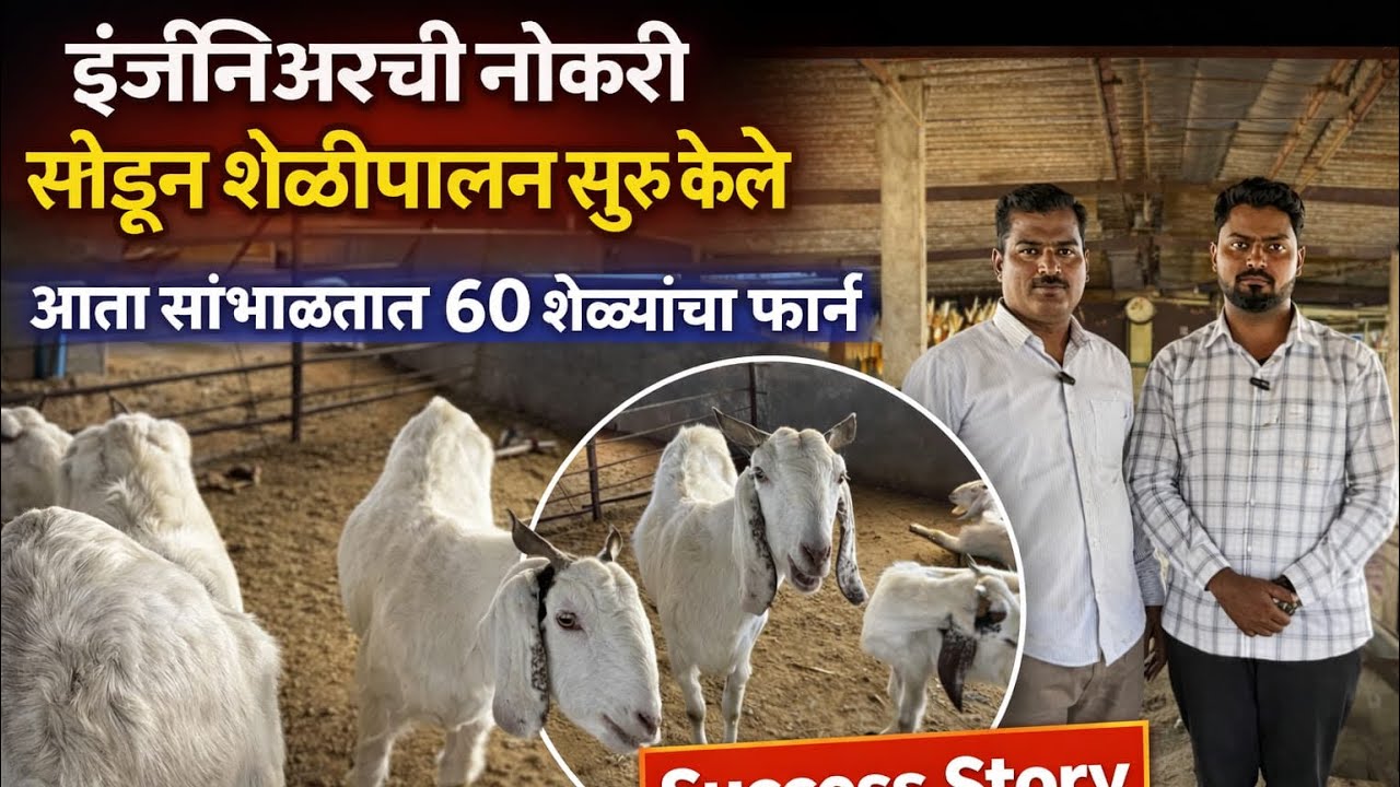 शेळीपालनाची सुरुवात फक्त अशीच करा कधीच नुकसान होणार नाही 