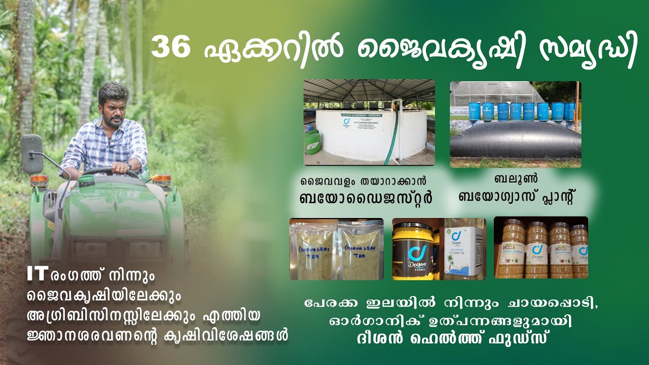ബയോഡൈജസ്റ്റർ, ബലൂൺ ബയോഗ്യാസ് പ്ലാന്റ്, പേരയില ചായപ്പൊടി...! ദീശൻ ഫാംസിലെ വേറിട്ട കാഴ്ചകൾ കാണാം