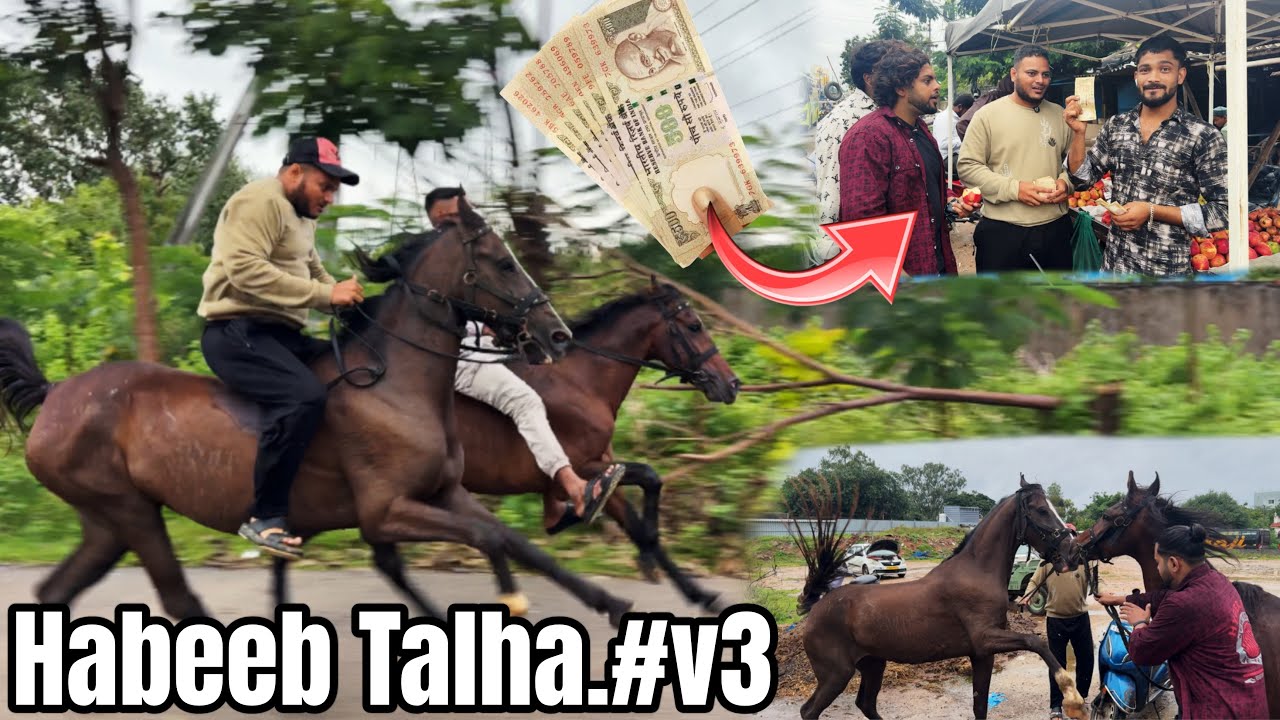 Old Closed Money 500 Rupees Prank Funny Reaction | Hours Riding Habeeb Talha