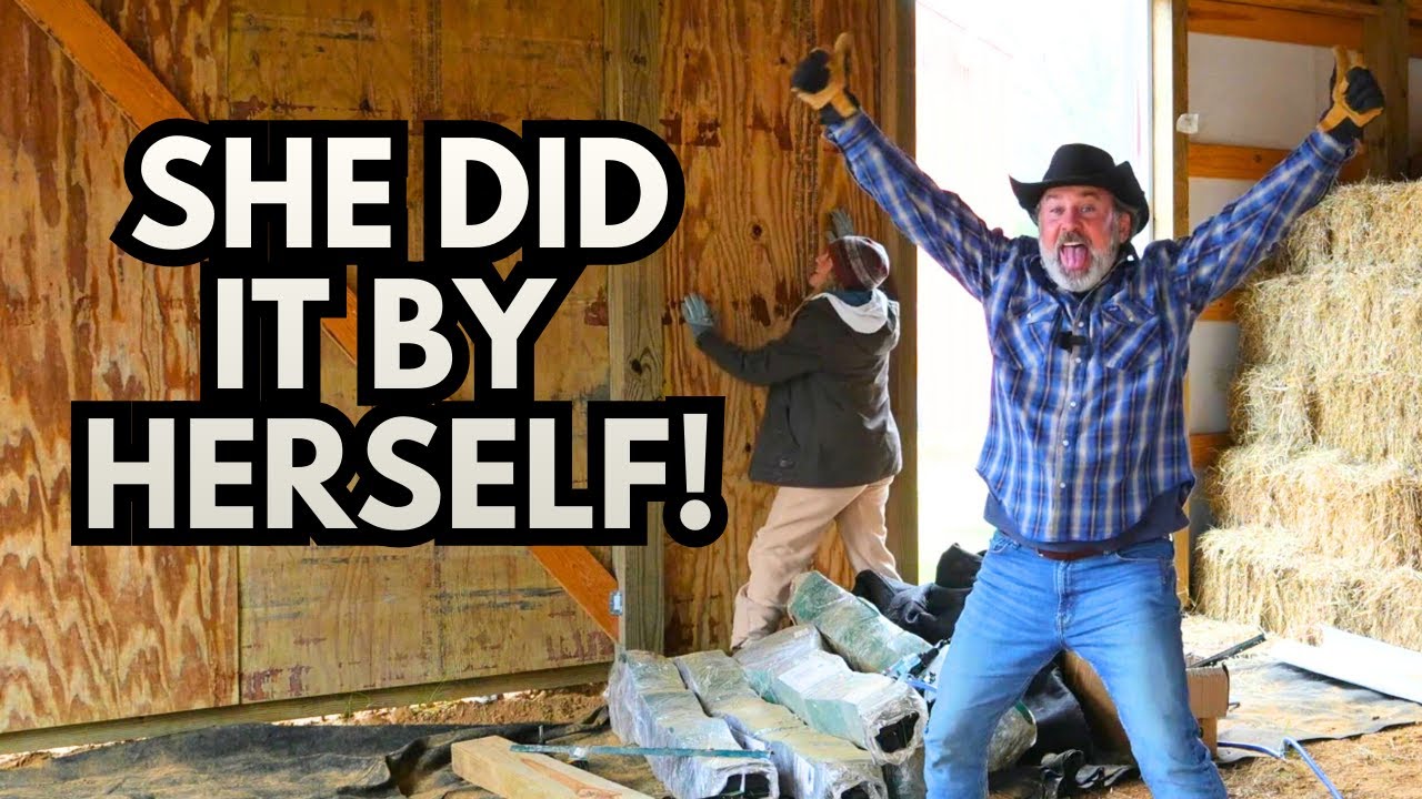 Race To Finish The Barn Stalls! | Meredith Works HARD! | Donkeys Getting Castrated SOON
