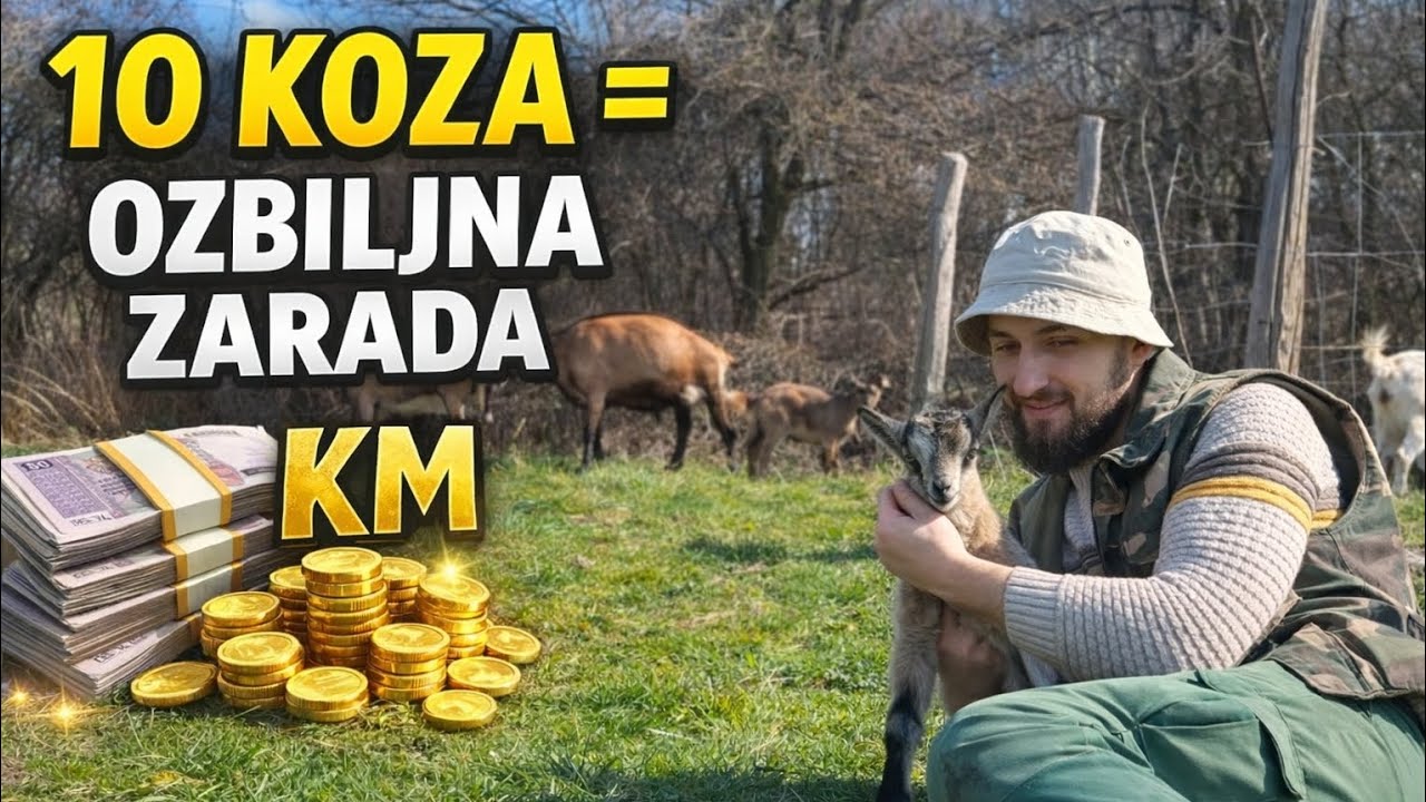 KOLIKI DOPRINOS MOŽE DATI 10 KOZA DOMAĆINSTVU / GRUBA RAČUNICA SA SELA / BEZ TRO&Scaron;KOVA ŽITARICA