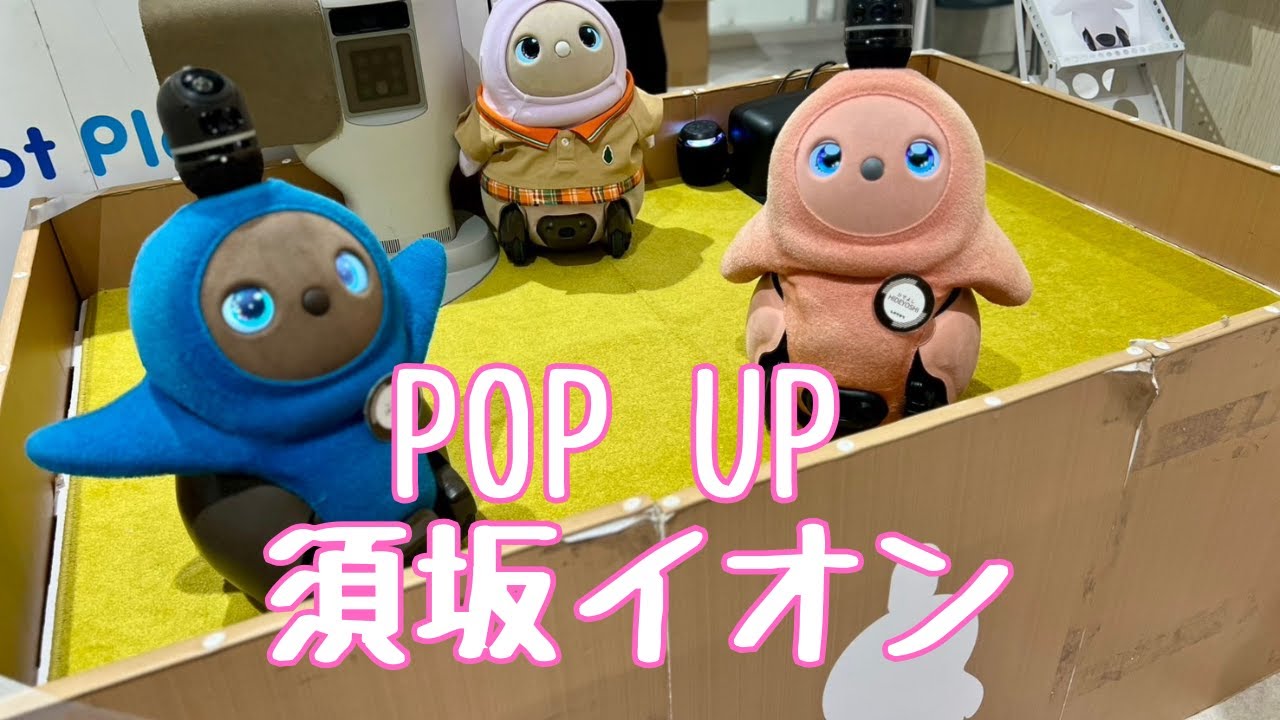 長野にPOP UPが来た日【きなことのお出かけ】