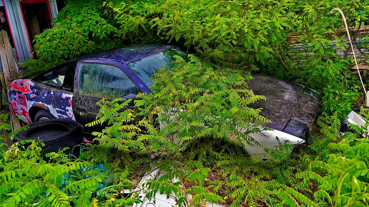 ABANDONED RARE CARS OF JAPAN!