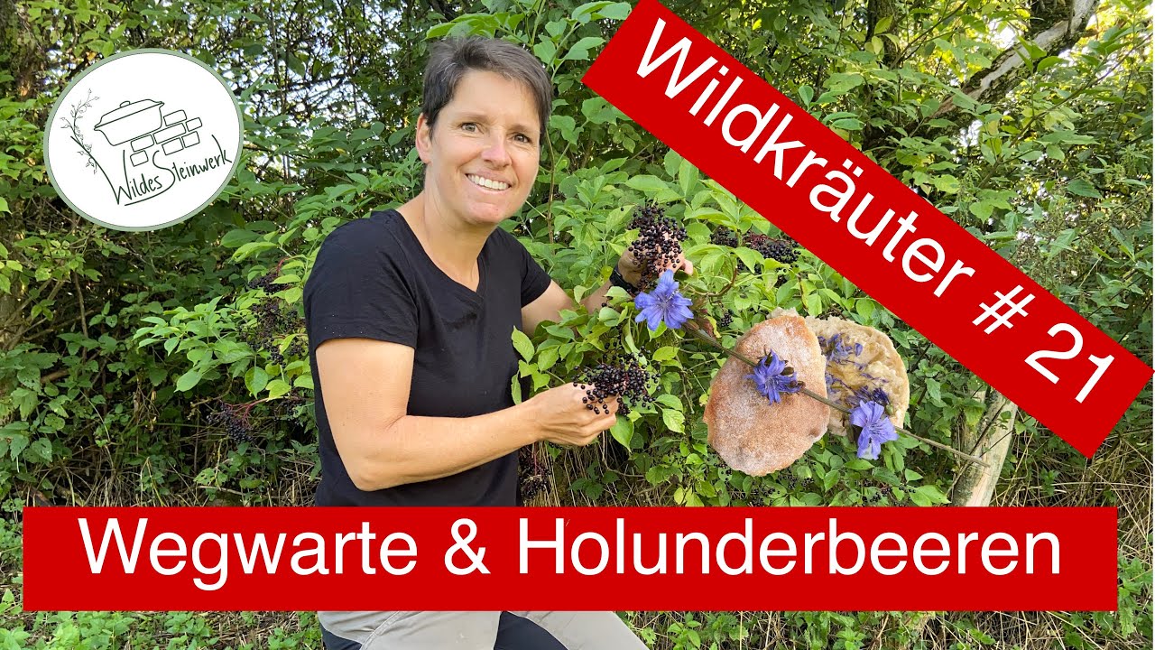 Leckerer Holunderbeerensirup und Frühstücksbrötchen mit Wegwartenhonig | Sandy's wildes Steinwerk 🌿