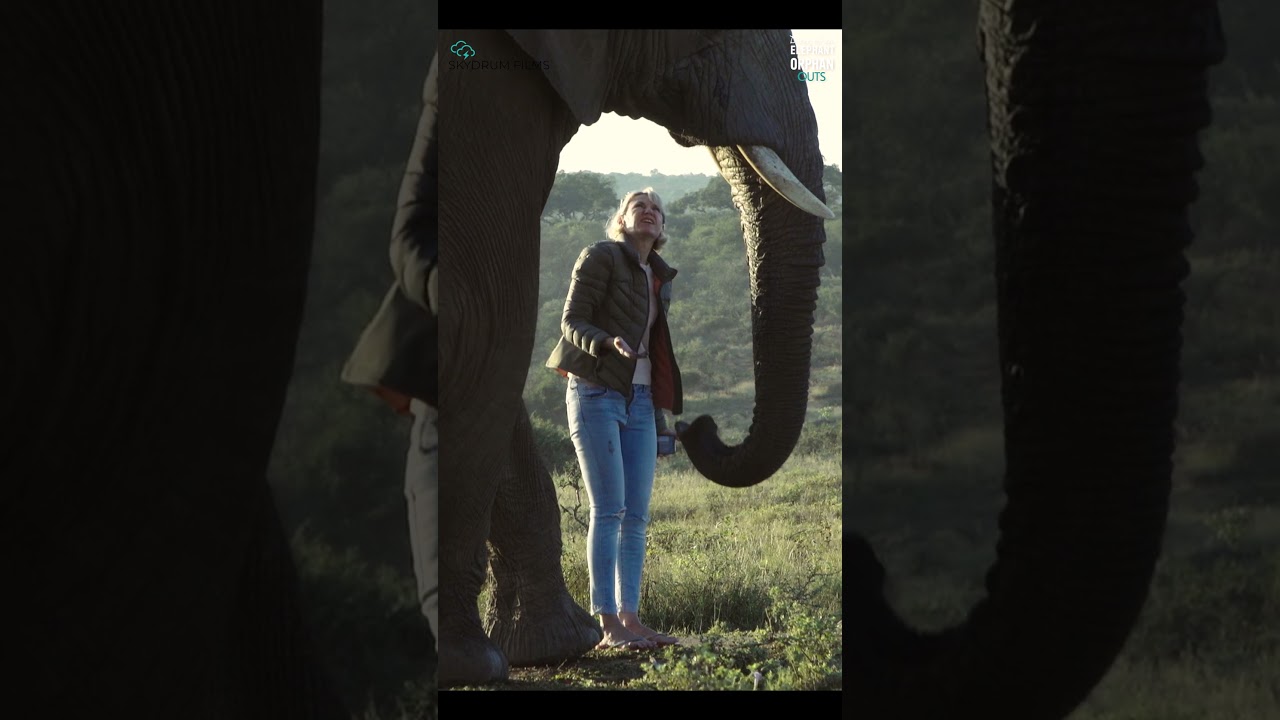 Adine and Jabulani the elephant having a discussion #elephantdocumentary #elephantstories