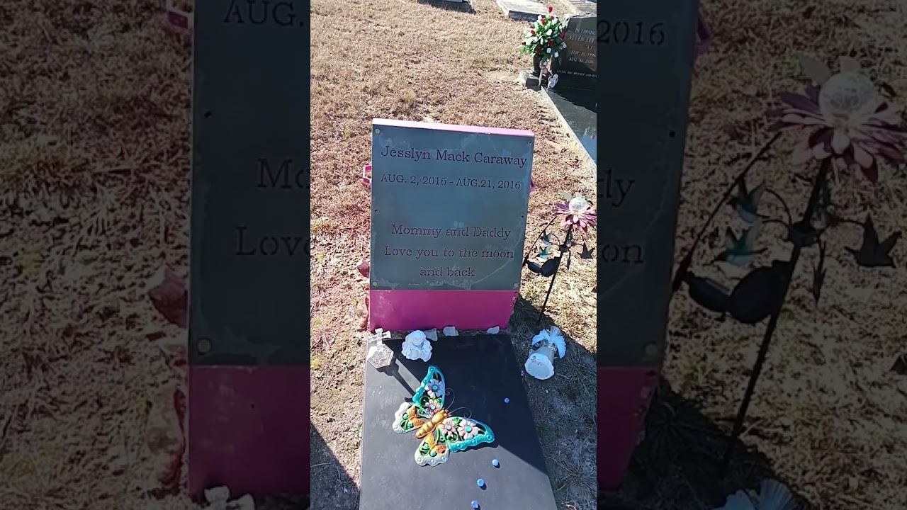 Pine Grove cemetery part 2
