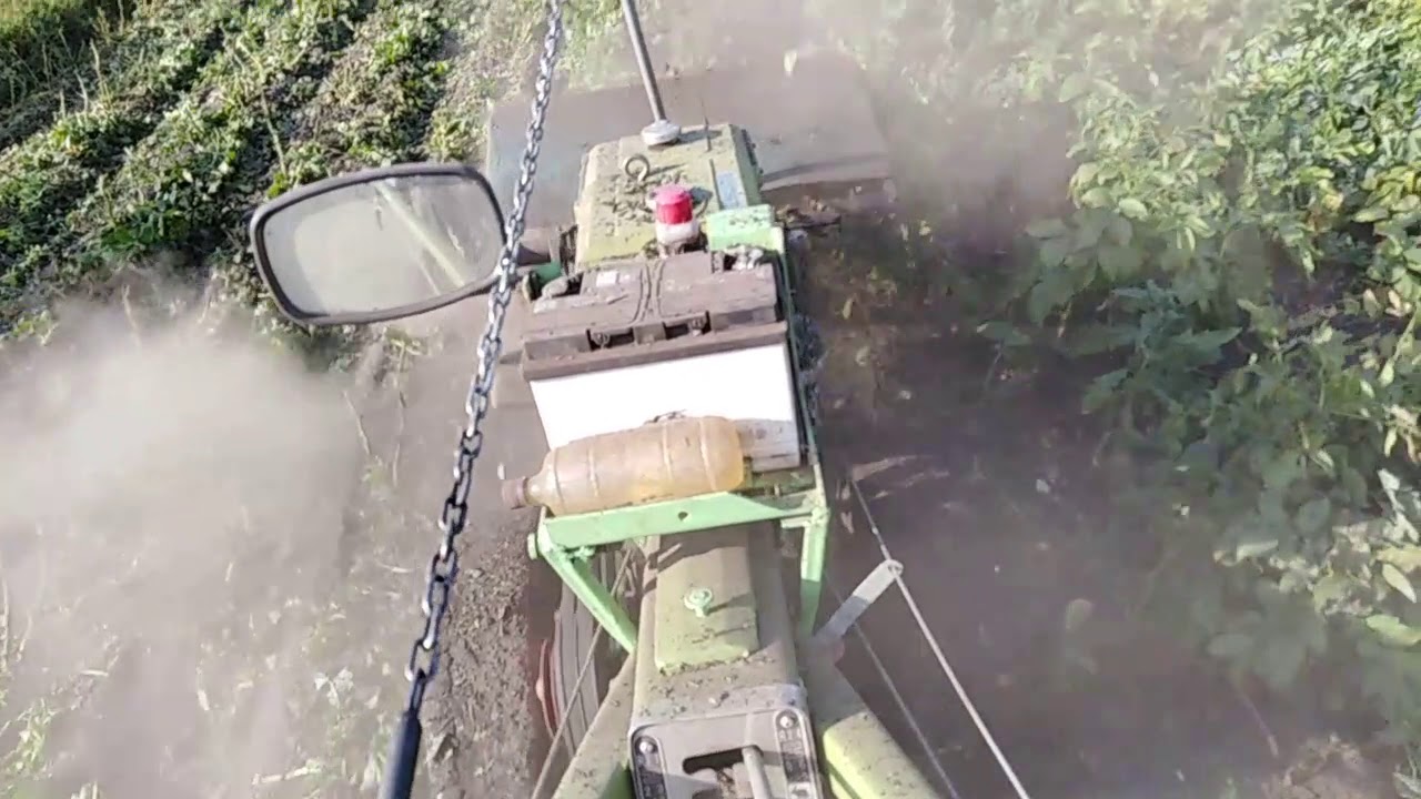 Мульчер ботвы картошки из дисковой косилки для мотоблока в действии