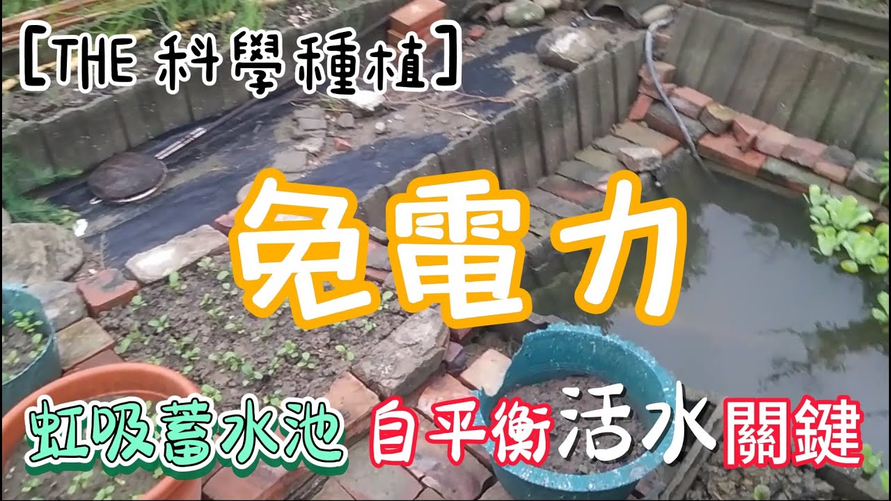 [THE 科學種植]09 家庭種植 不再缺水淹水的關鍵... (看懂請按讚 哈哈)