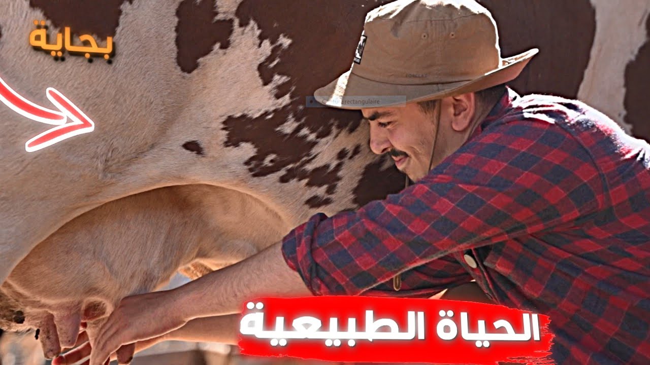 طيبت في أجمل مزرعة في ولاية بجاية - الحياة الطبيعية- Chef Nomad الحلقة 05