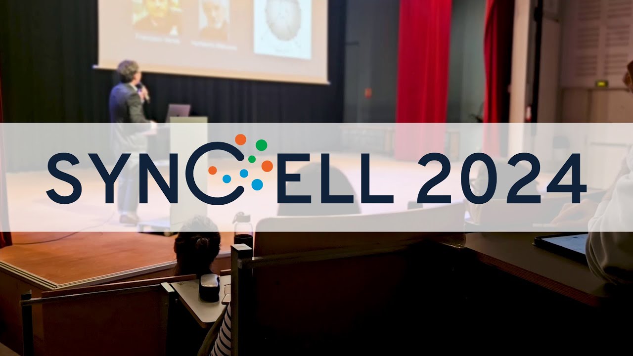 A look back at SynCell2024