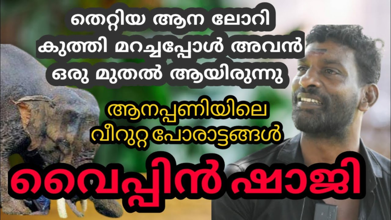 ആനയുടെ കൊമ്പിനിടയിൽ നിന്നും രക്ഷപെട്ട ജീവിതാനുഭവം വൈപിൻ ഷാജി
