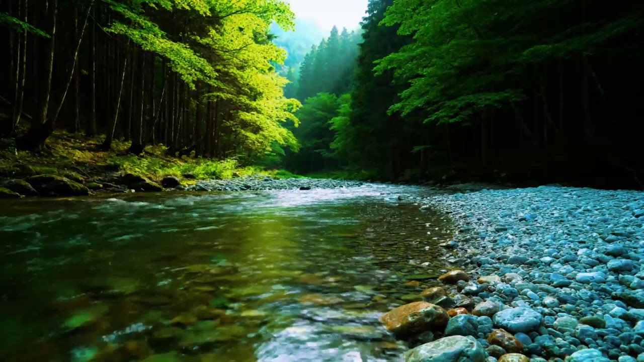 Forest Ambience - Birds Singing & Beautiful Stream Sounds for Peaceful Sleep,Deep Rest,Medicine ASMR