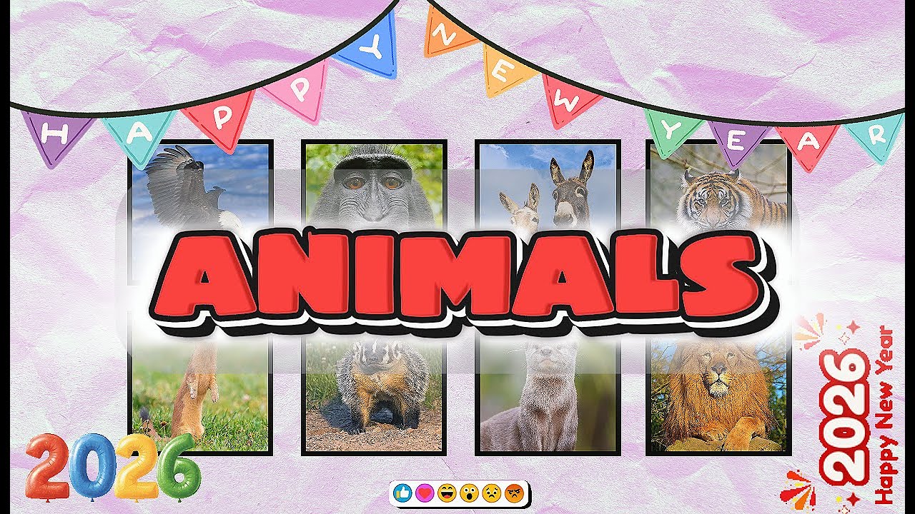 🎵 Say The Word On Beat &mdash; ANIMALS EDITION | Easy / Medium / Hard 🎵