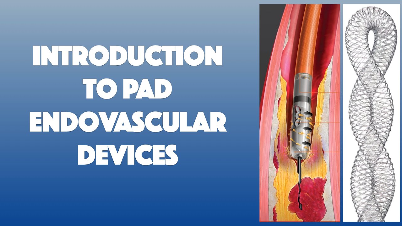 Intro to PAD Endovascular Devices