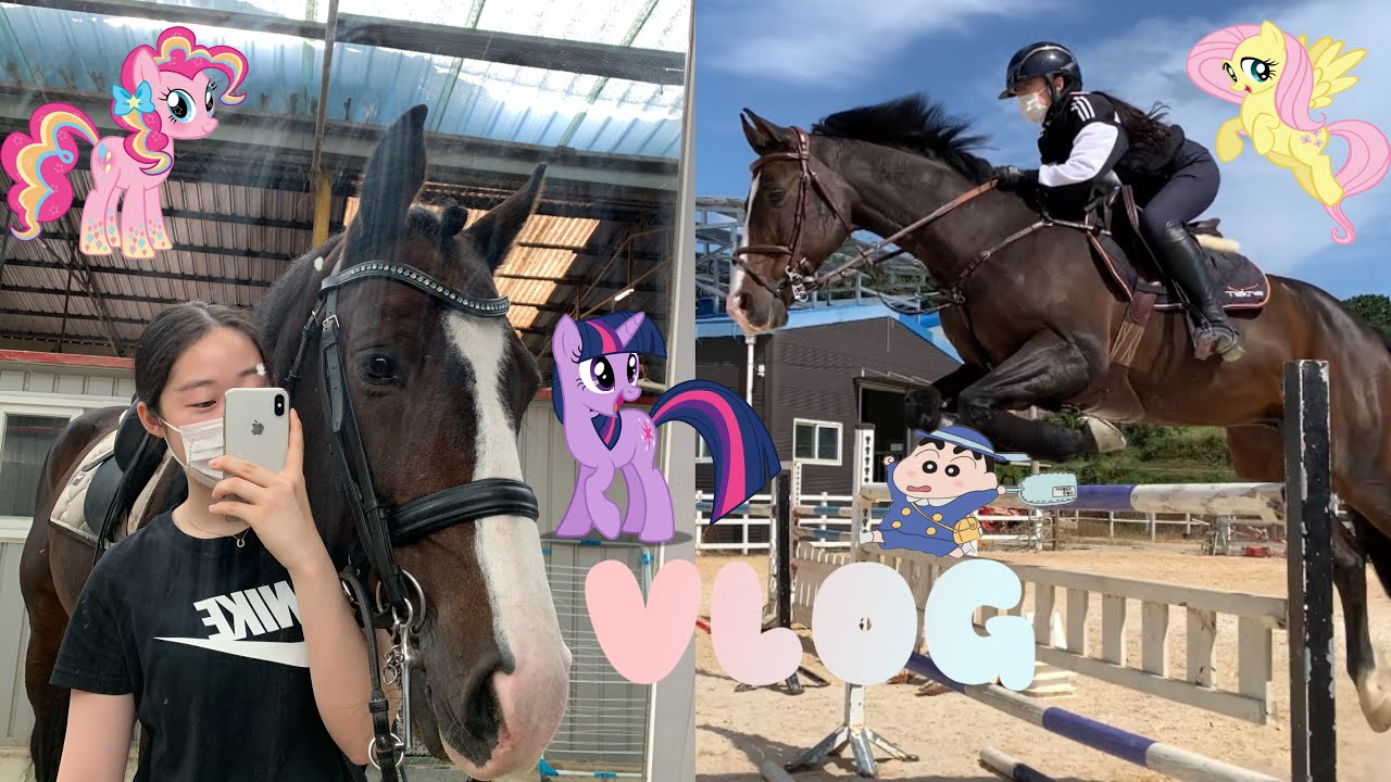 오늘도 역시나 즐거운 승마장 vlog