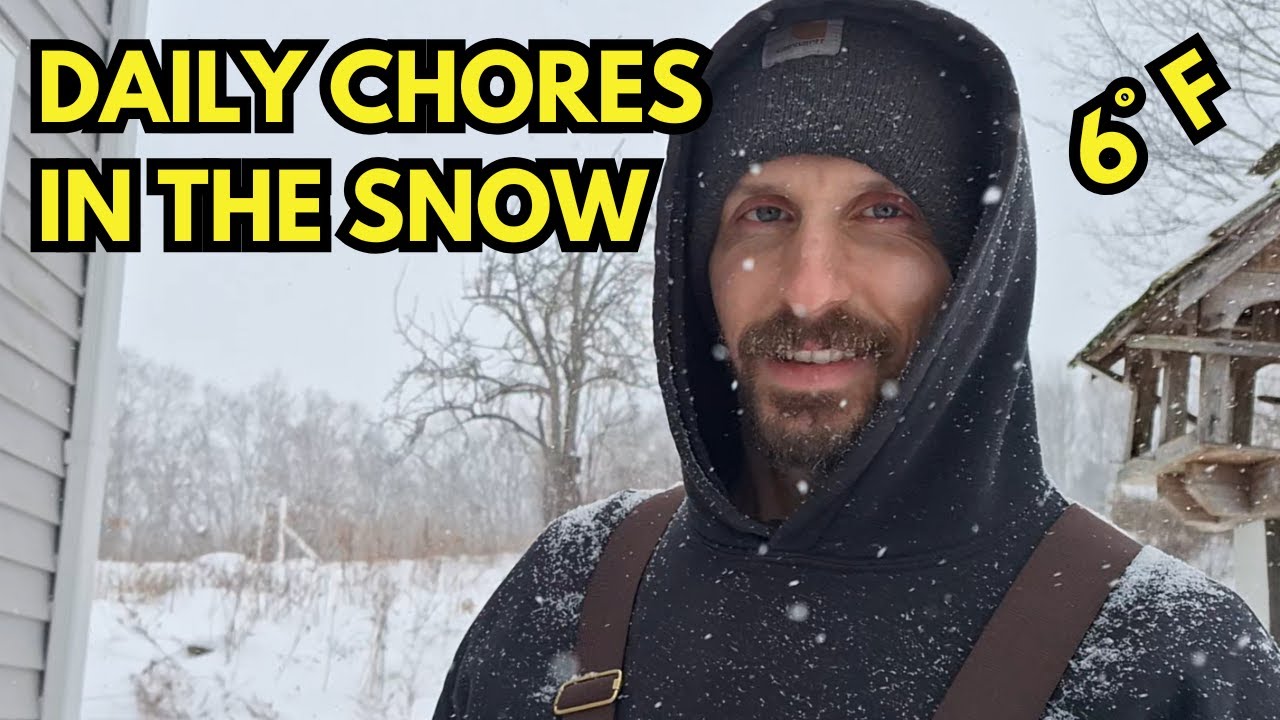 Let's Do Farm Chores in the Snow