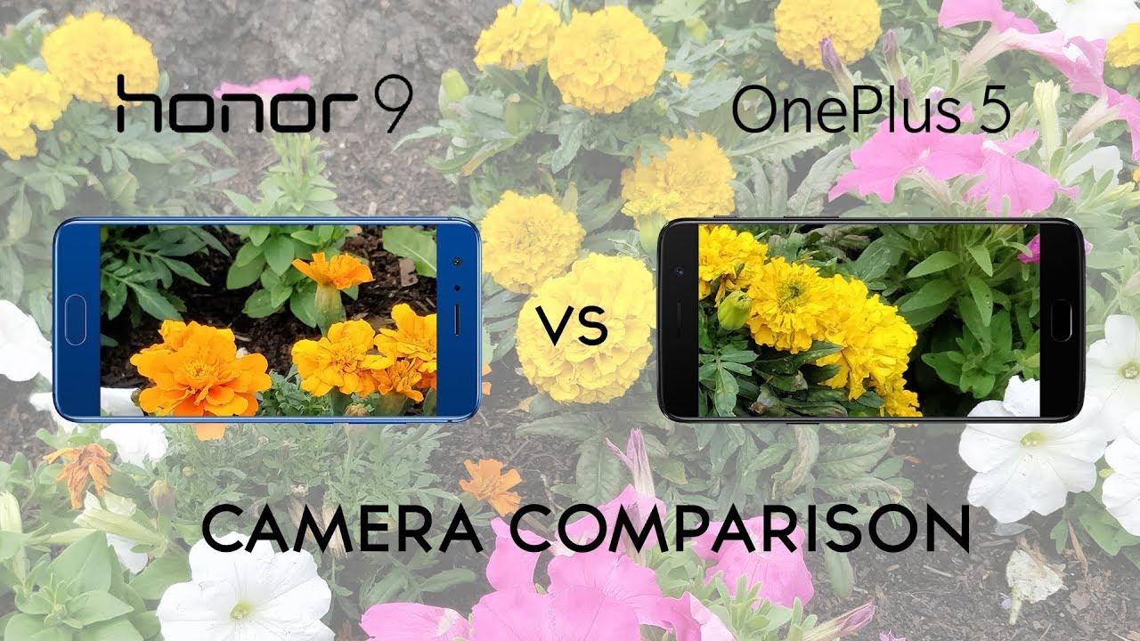 Honor 9 vs OnePlus 5: Camera Comparison