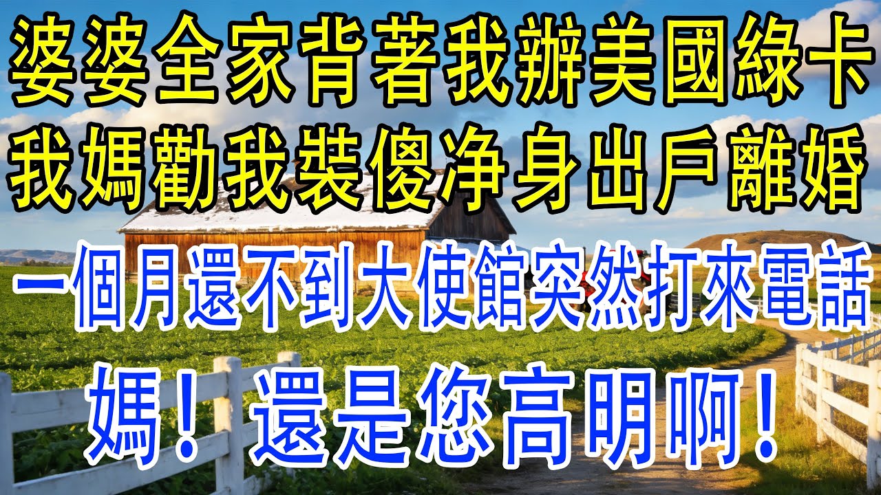 婆婆全家背著我辦理美國綠卡我媽勸我裝傻净身出戶離婚。一個月還不到大使館突然打來電話媽還是您高明啊！#深夜淺讀 #故事分享 #電影 #故事頻道 #movie #小説 #film #心靈暖流 #情感故事
