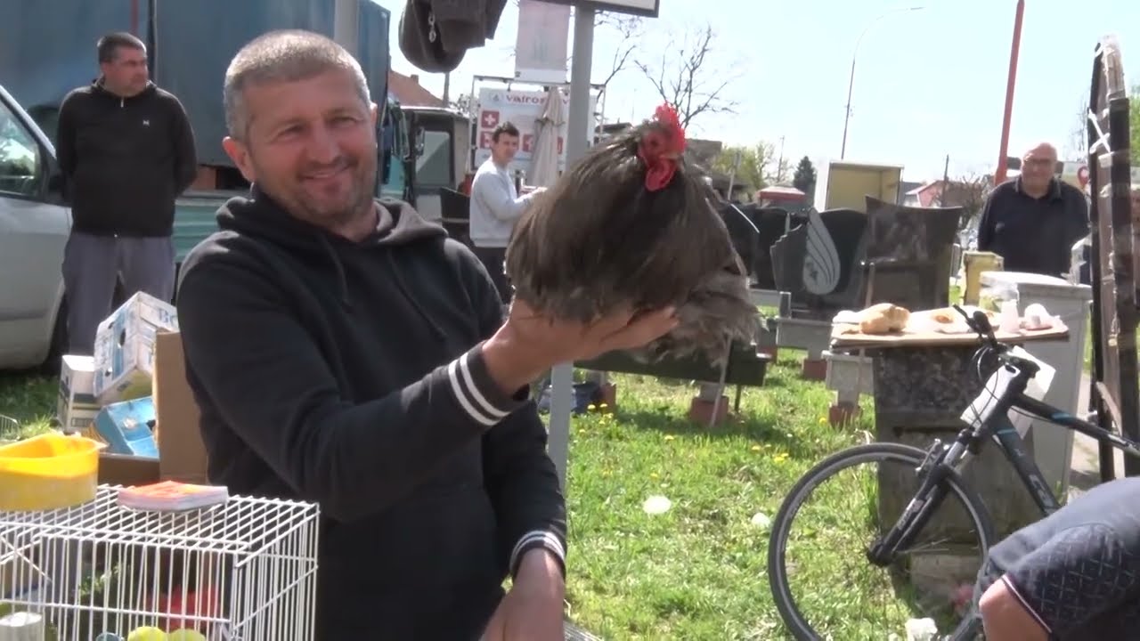 Televizija Pomoravlje- Blagovesti i prvi va&scaron;ar u Ćupriji