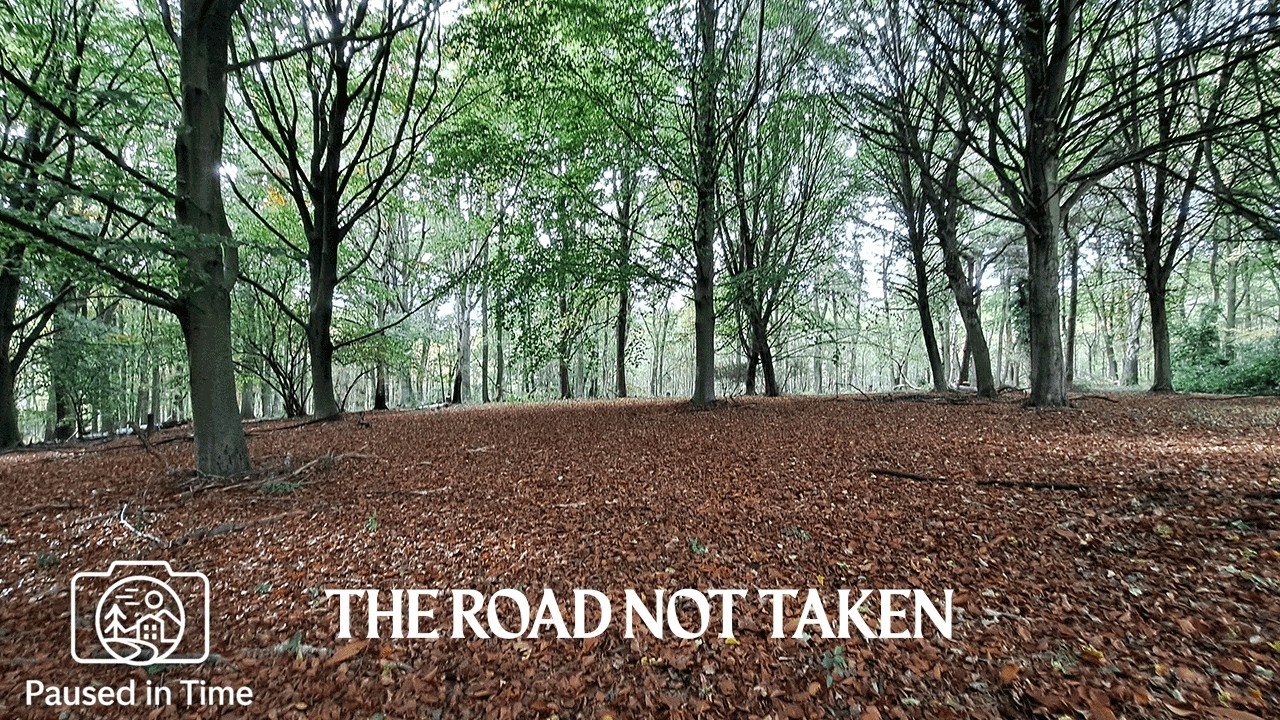 The Road not Taken