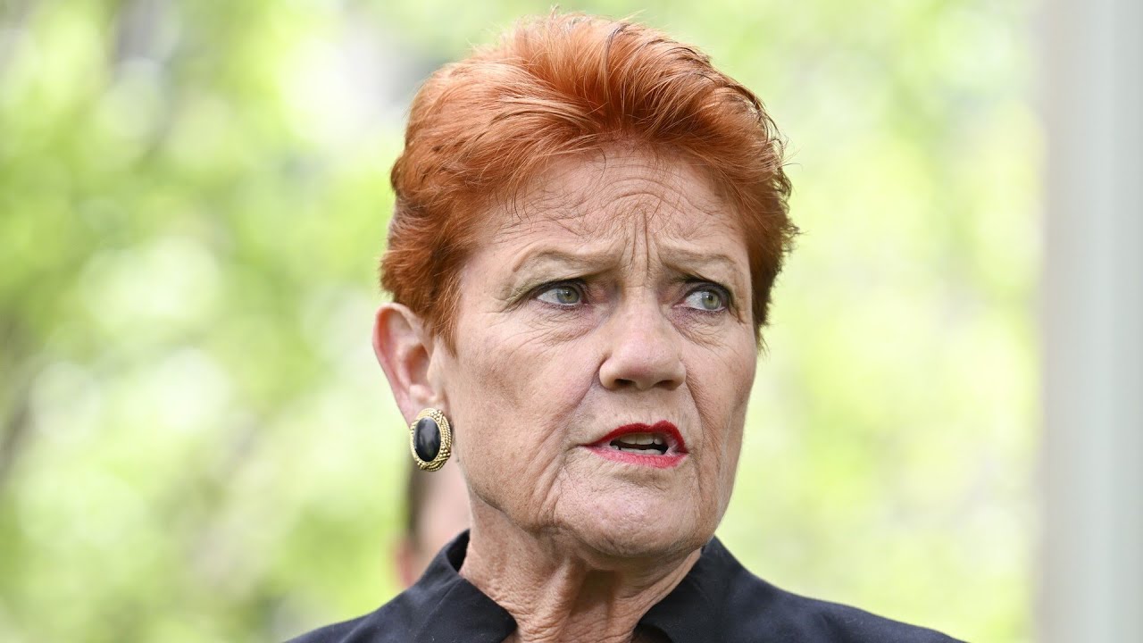 One Nation skyrockets to 25 per cent primary vote