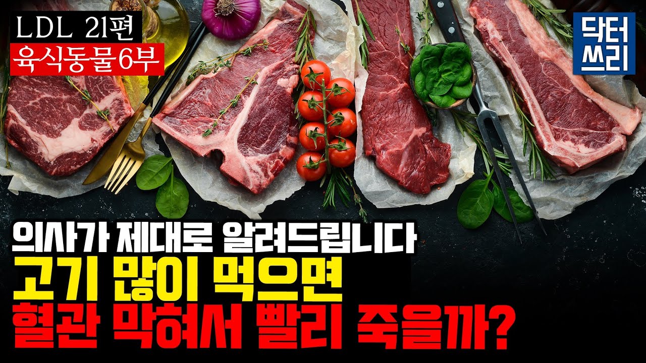 우리 인간은 육식동물이다 (육식동물 6부) [LDL 21편] 고기 많이 먹으면 혈관 막혀서 빨리 죽을까?