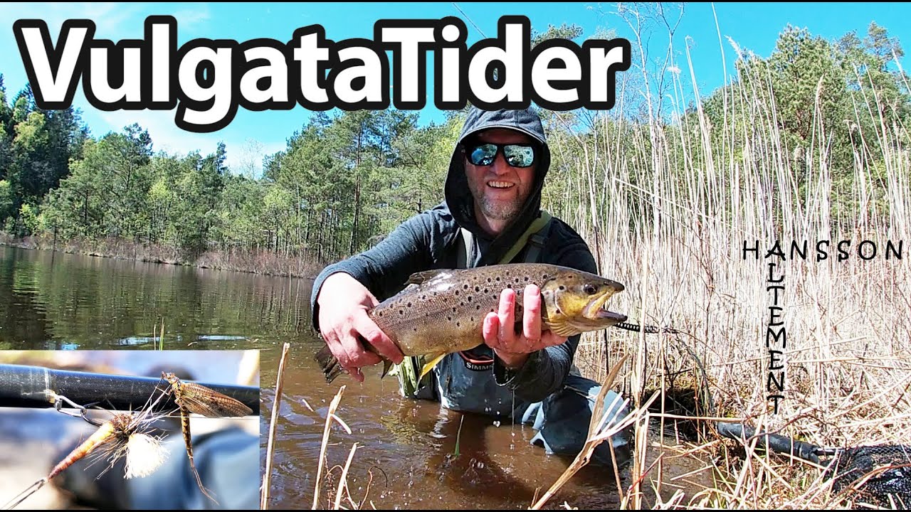 Vulgatatider