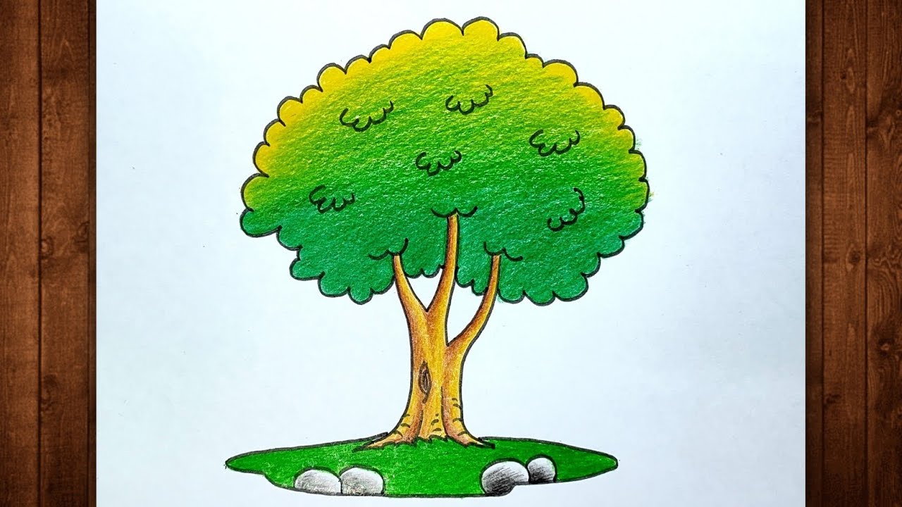 Tree Drawing / Tree Drawing Colour / Tree Drawing Easy 