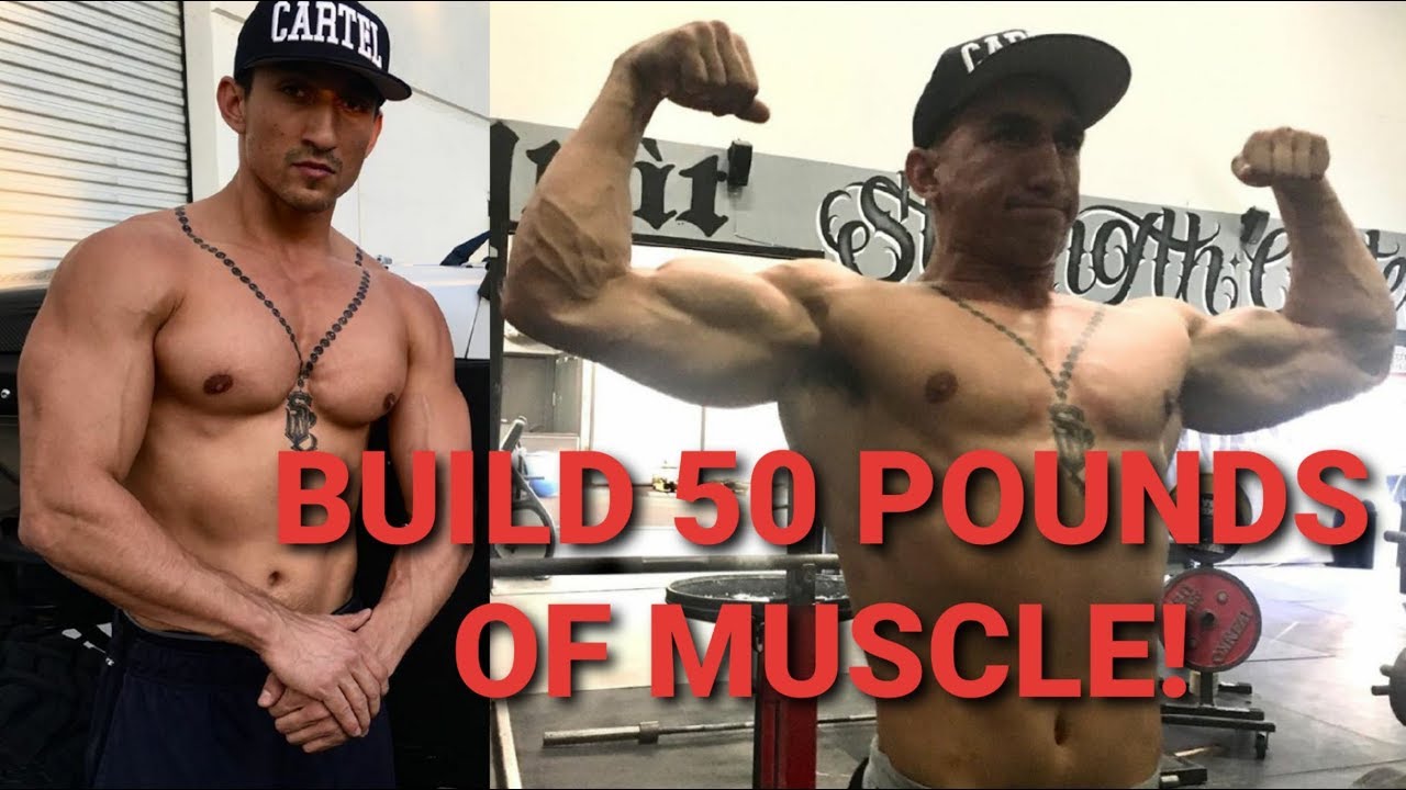 BUILD 50 POUNDS OF MUSCLE! | STAN EFFERDING SPEAKS ABOUT GAINING 150LBS