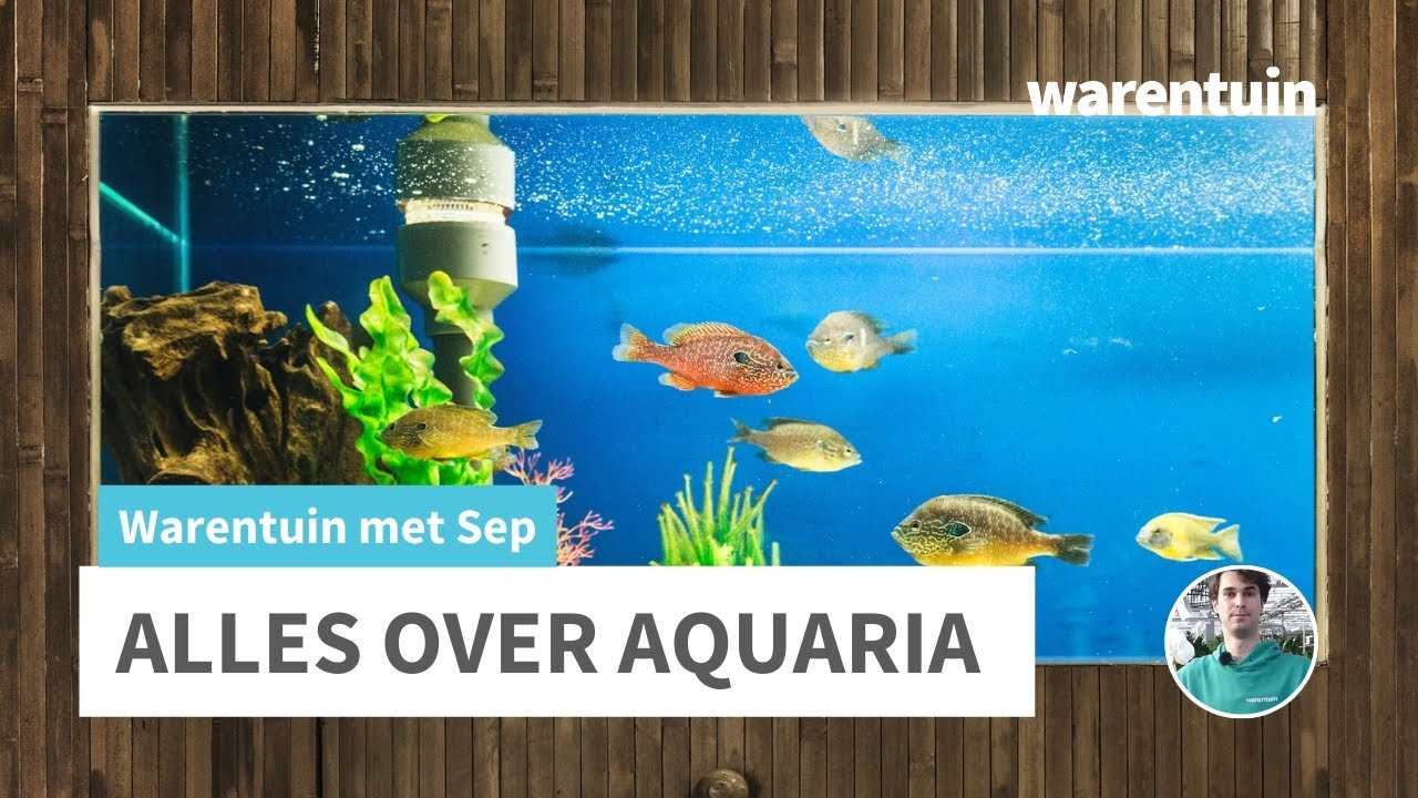 Alles over aquaria