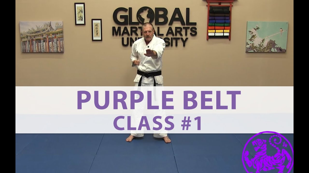Shotokan – 4th Kyu Purple – Class 1