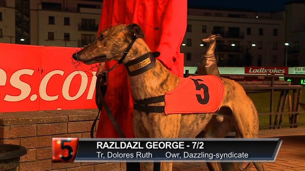 Ladbrokes Irish Greyhound Derby 2012, раунд 3, заезды с 1 по 8