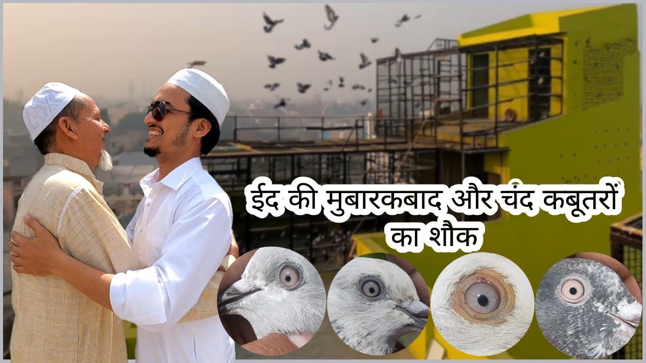 ईद की मुबारकबाद और चंद कबूतरों का शौक  @TheHomeSanctuary
