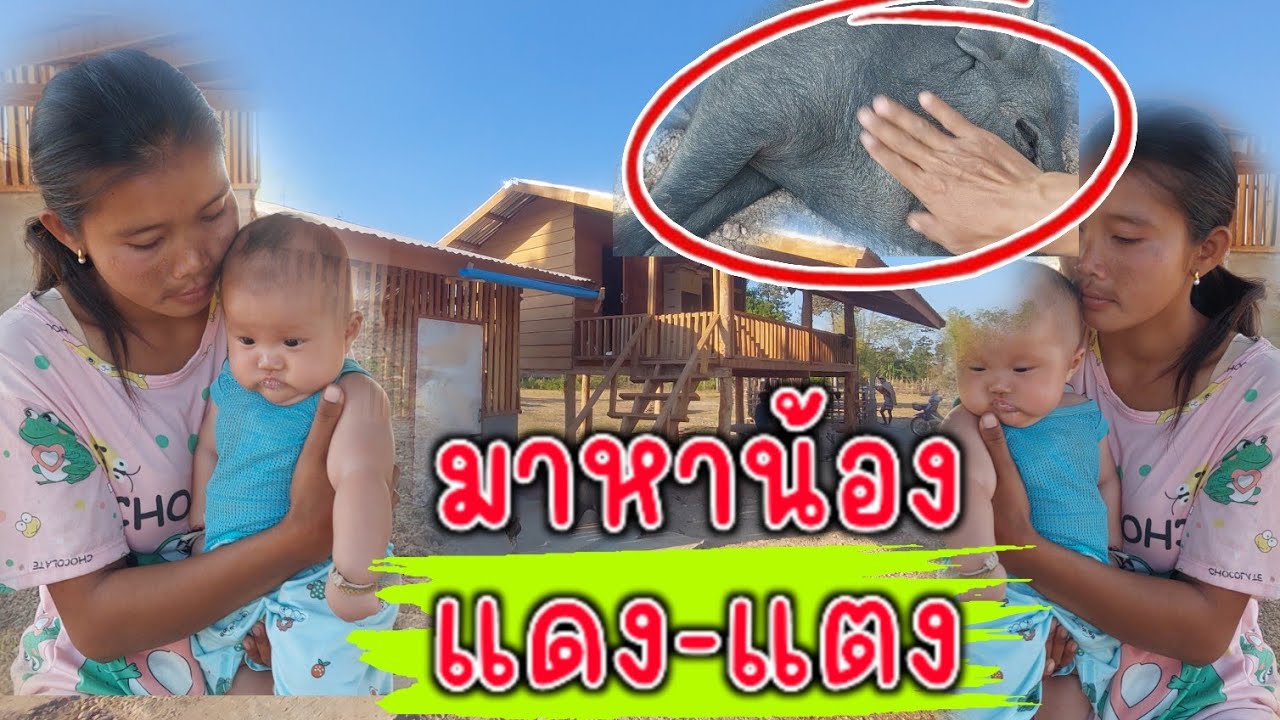 ❗️ข่าวดี น้องคำตาไม่ร้องไห้แล้ว. 13 กุมภาพันธ์ 2026