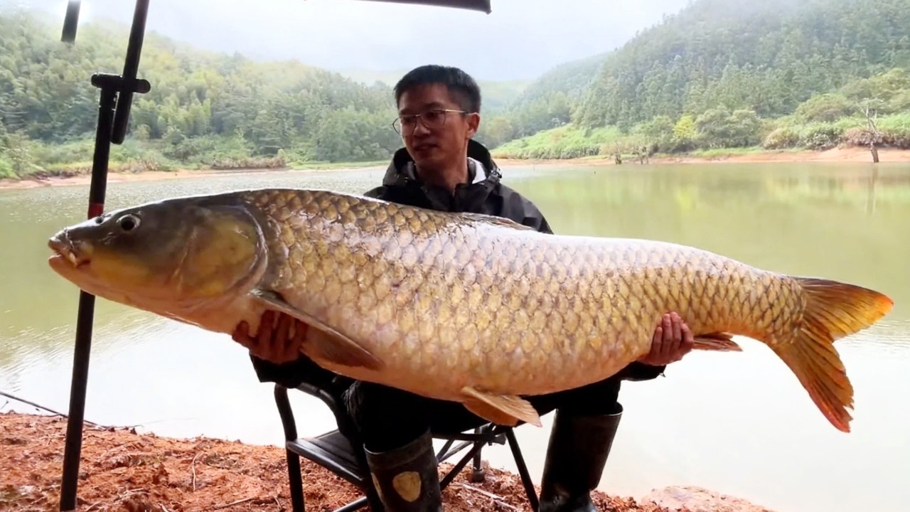 探钓水库垂钓巨物！卖鱼探钓坚持一天终于钓到巨物，探钓真的就和开盲盒一样！【小宋野钓】