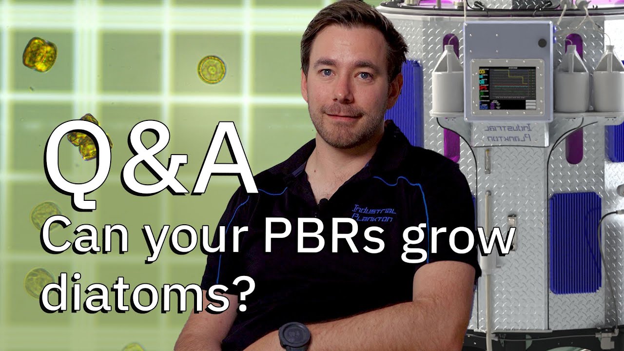 Photobioreactors (PBRs) for Diatom Production - Q&A with an Expert