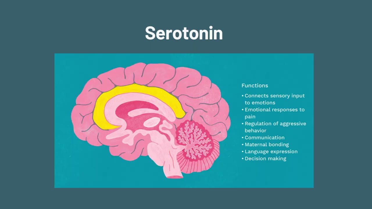 Nutrients for Mental Health: How to Make More Dopamine, Serotonin and Gaba
