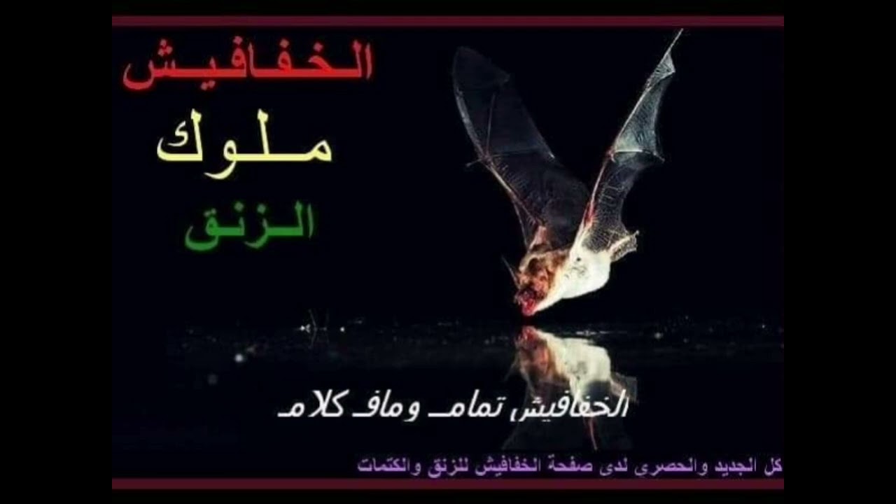 سنهوري + الجنرال أنور9 + قدام الناس بريدو ما بريدو انا بالدس + زنق سوداني