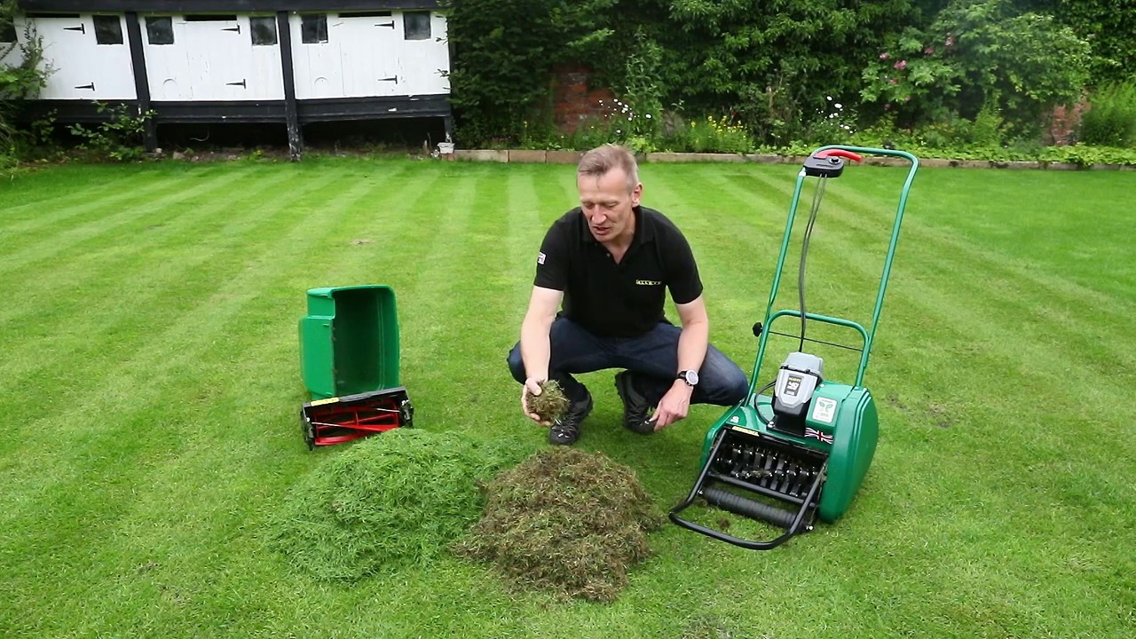How to Scarify Your Lawn