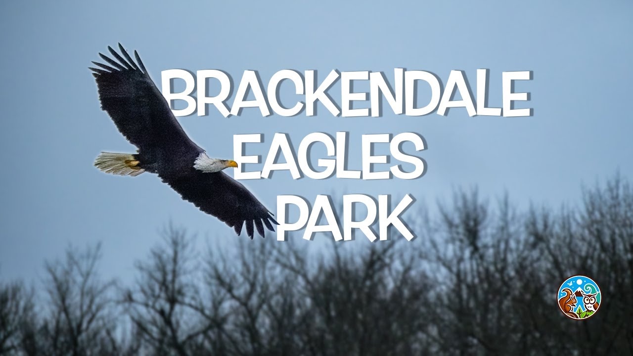 ROO ROO on the road!  Visiting Brackendale Eagles Park