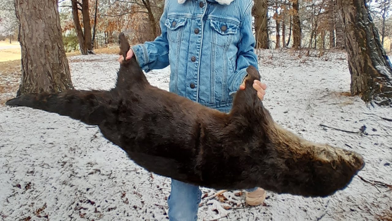 Late Season Otter Trapping