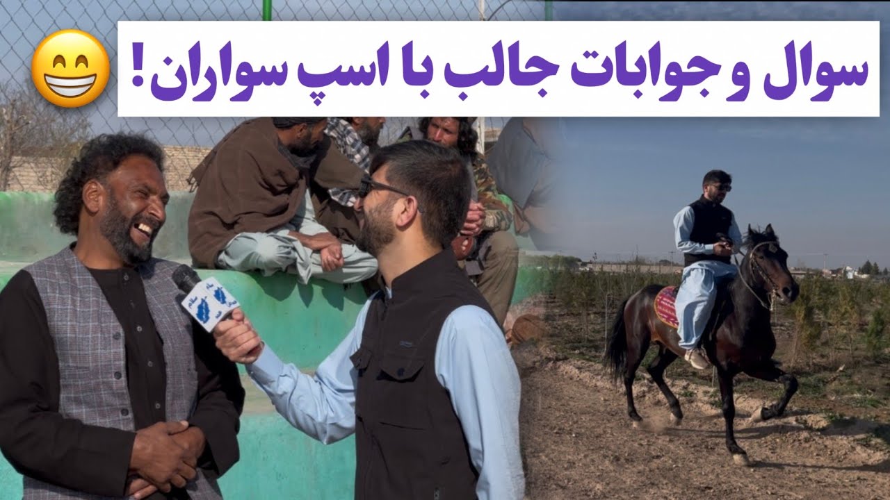 سوالات جالب و پاسخ های شیرین اسپ سواری هرات 