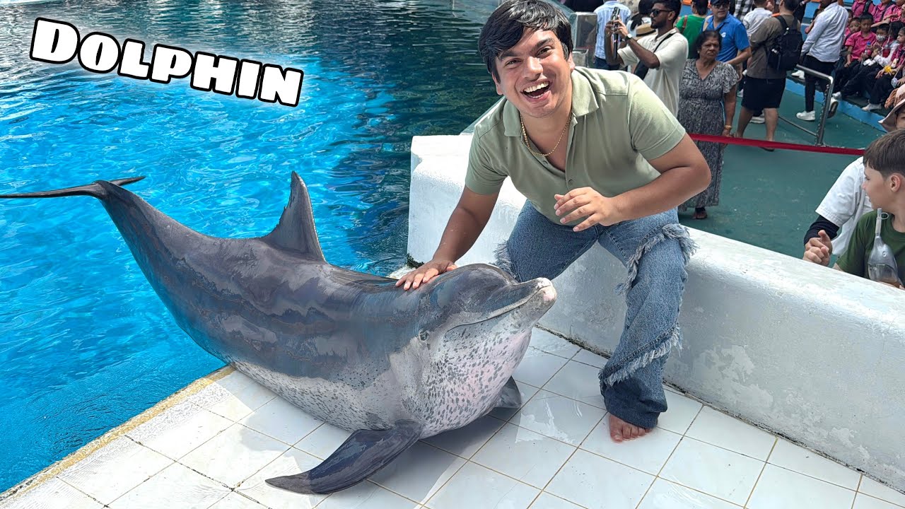 Dolphin Fish Ko La Liya Kia 🐟 Dream Done 😍